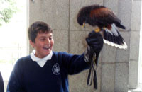 Exhibición de aves rapaces en la Escolanía