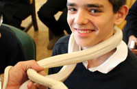 Taller de reptiles en la Escolanía